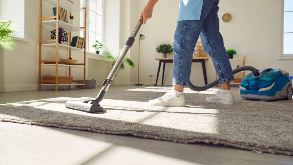 Image of a person vacuuming a rug in a bright room with shelves and plants, emphasizing household cleaning.